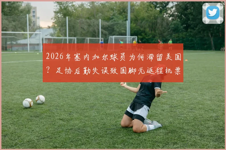 2026年塞内加尔球员为何滞留美国？足协后勤失误致国脚无返程机票，事件深度追踪